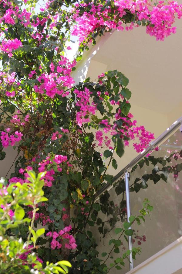 Acelya Otel Bodrum Luaran gambar